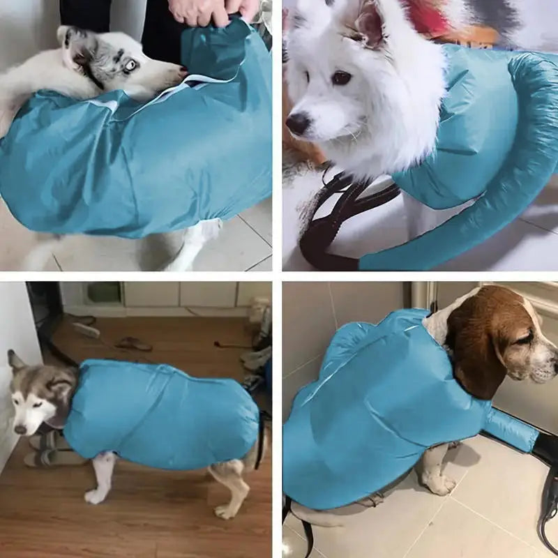 Dog Hair Dryer